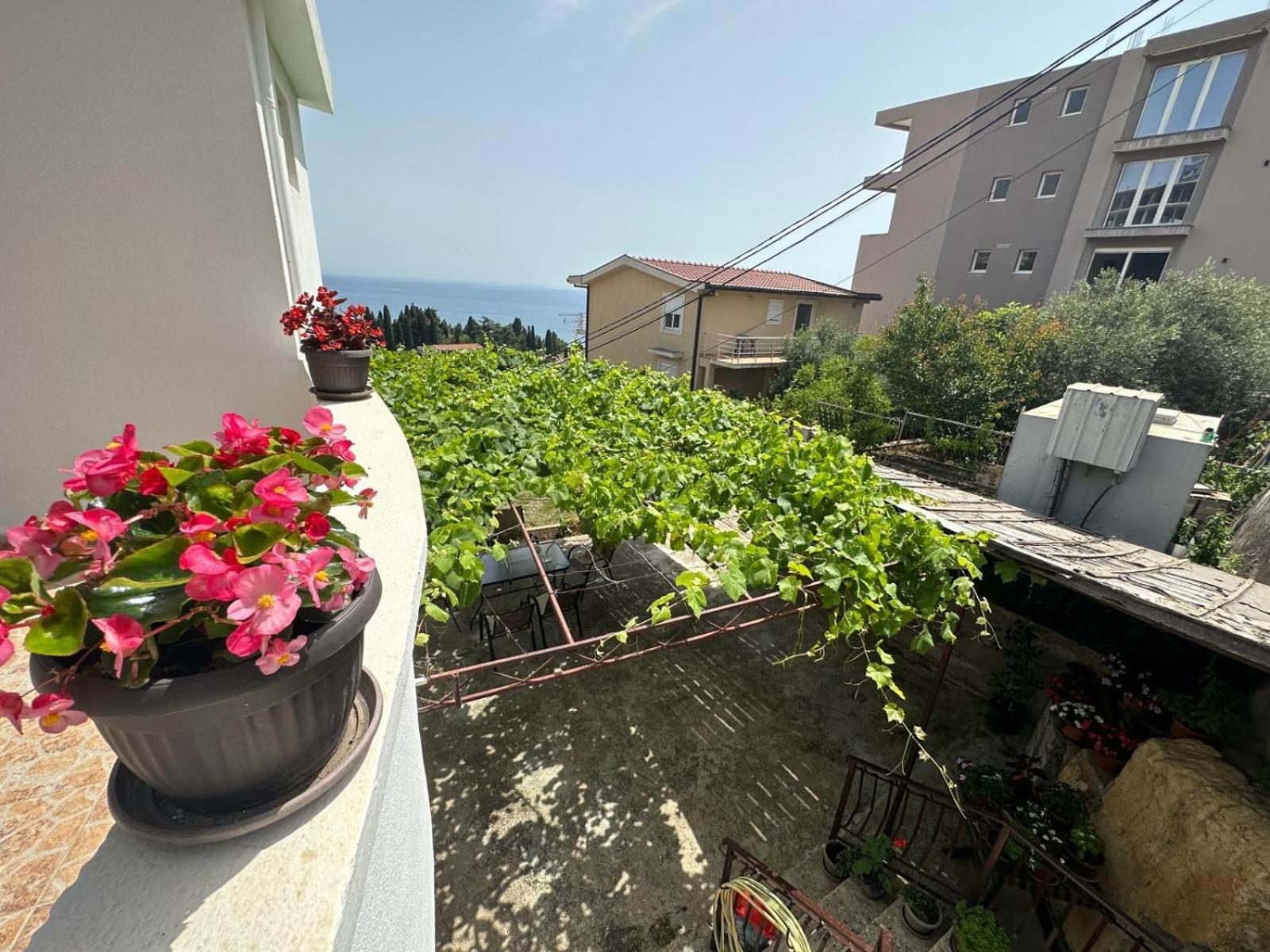 Adriatic Sea View Rooms 乌尔齐尼 客房 照片