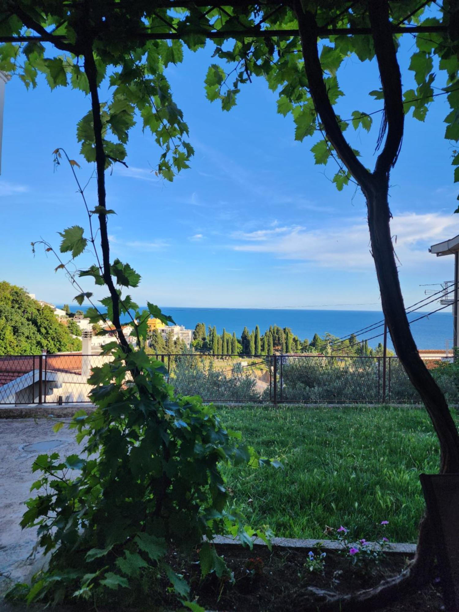 Adriatic Sea View Rooms 乌尔齐尼 客房 照片